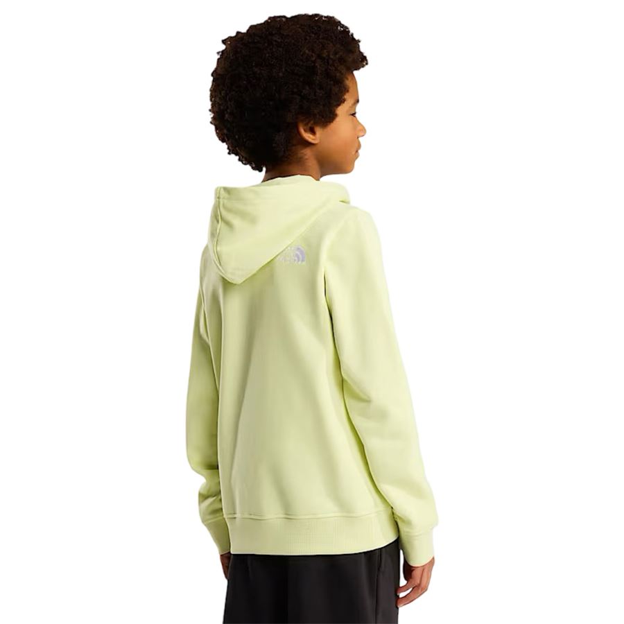 Drew Peak Light Regular felpa con cappuccio da bambino The North Face | NF0A8GR8G6O